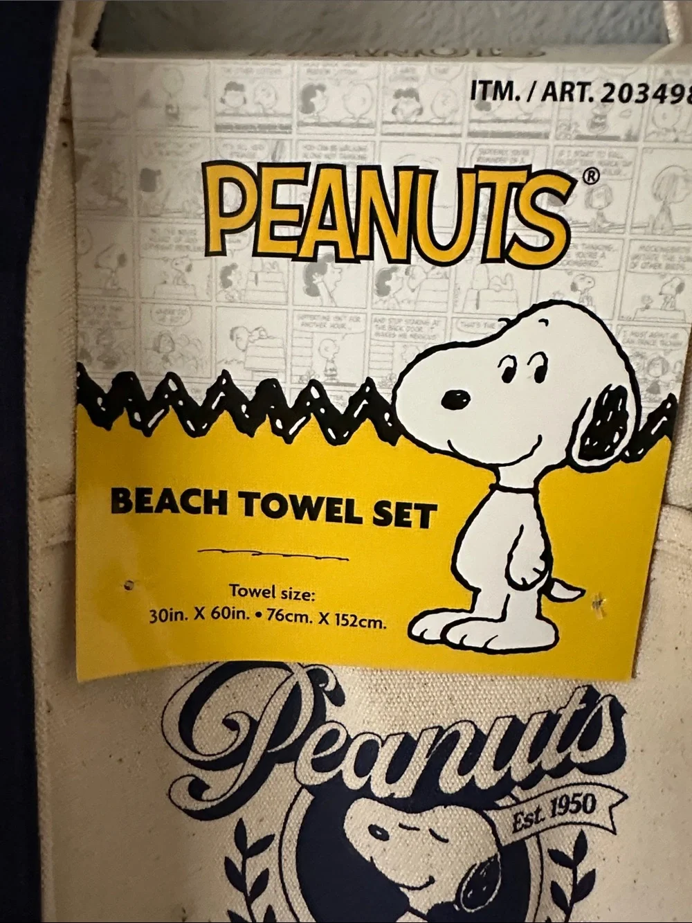 Peanuts Canvas Tote Bag beach towel set brand new